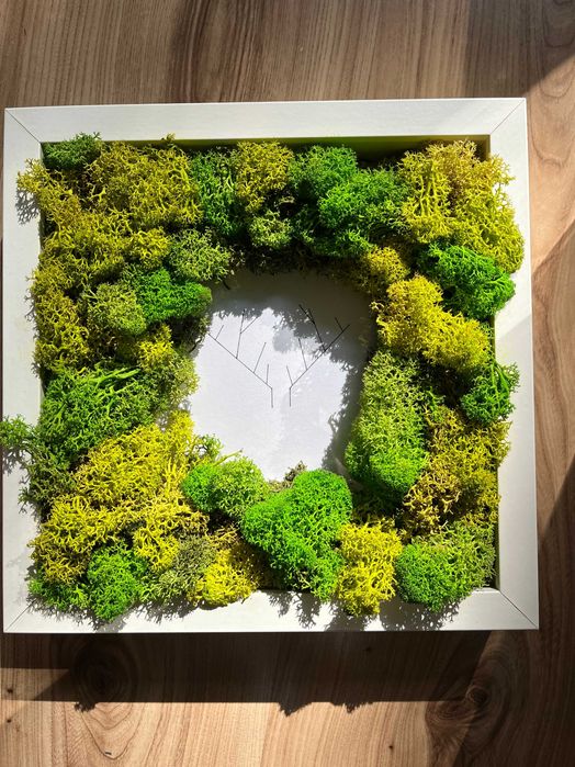 Diy ramka dekoracja 3D mech chrobotek ozdoba poroże na ścianę