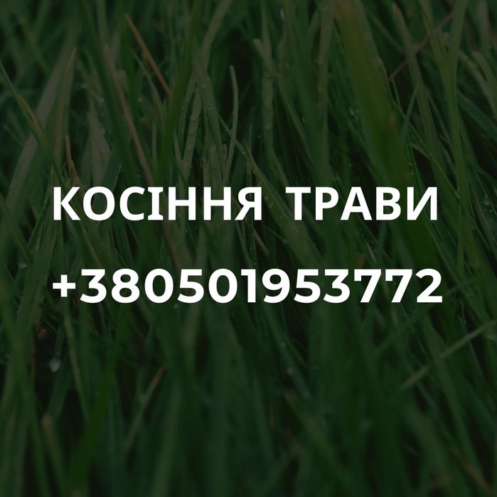 Скошування (косіння) трави мотокосою | Професійно та недорого