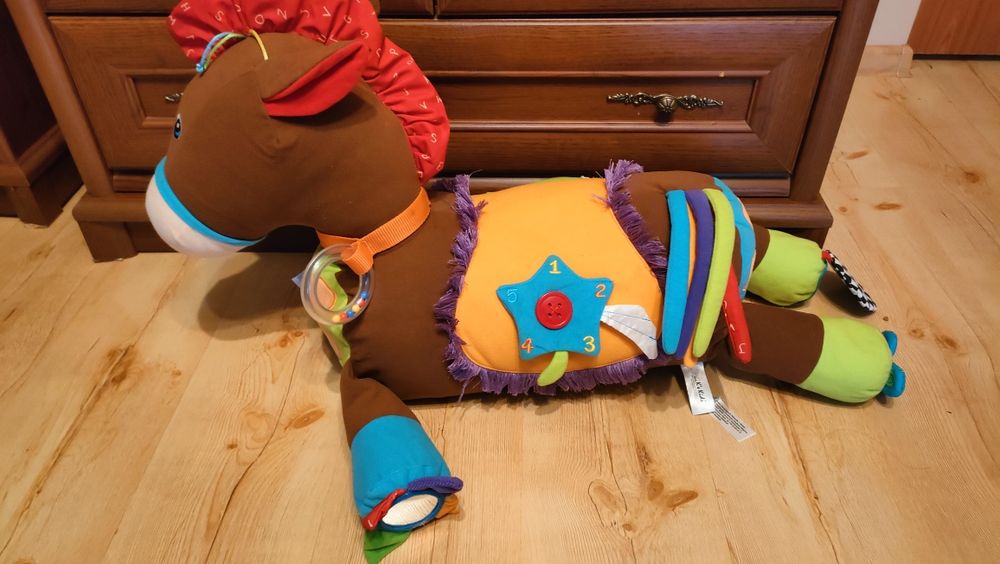 Konik edukacyjny Tony