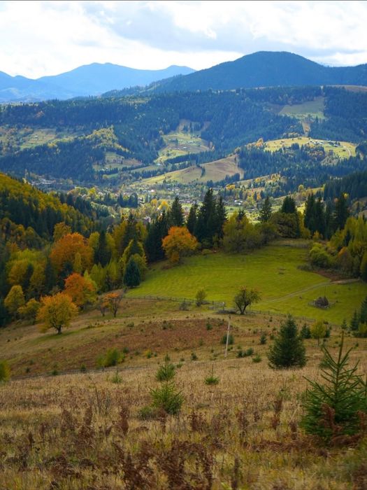Земля в Карпатах з видом на Чорногірський хребет