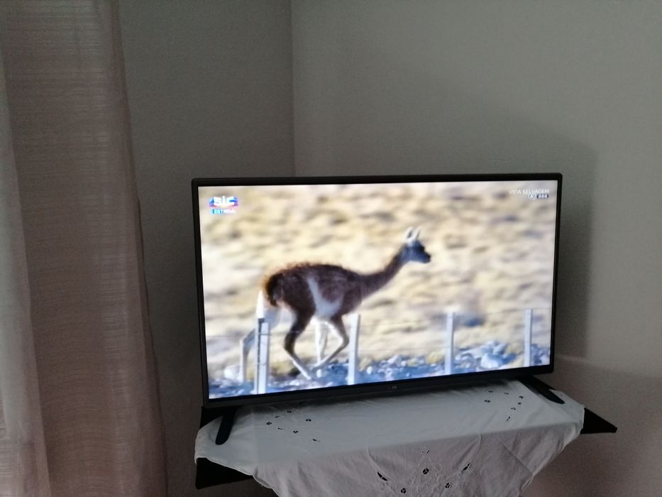 TV led 42" 106cm