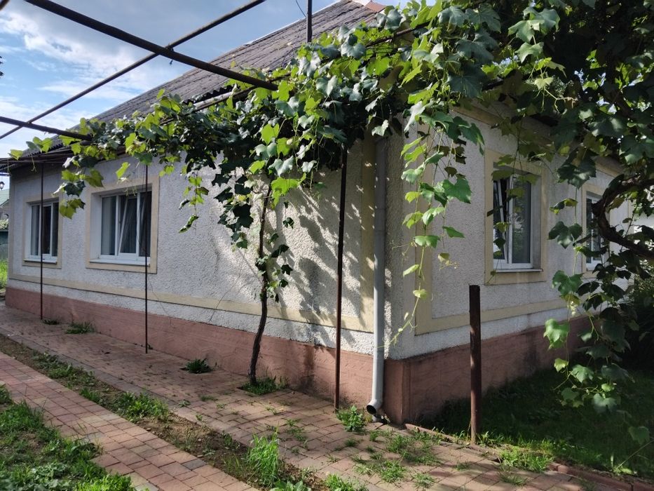 Оренда будинку на курорте Поляна Закарпатської області