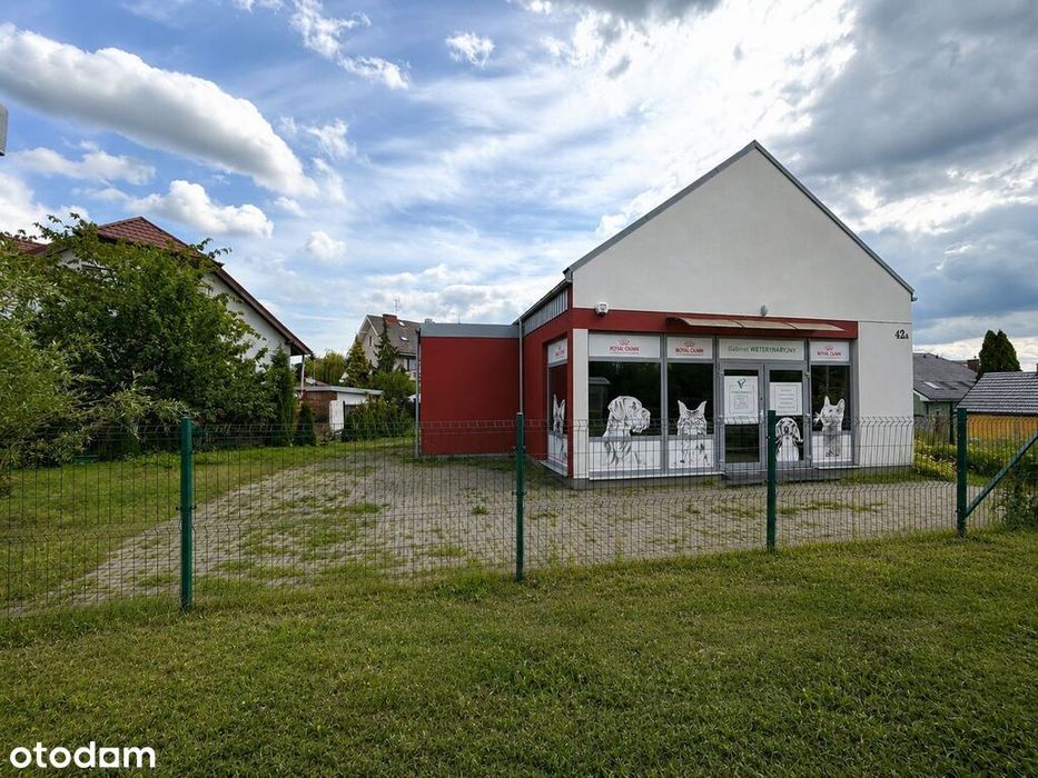 Lokal Handlowo Usługowy na Wynajem