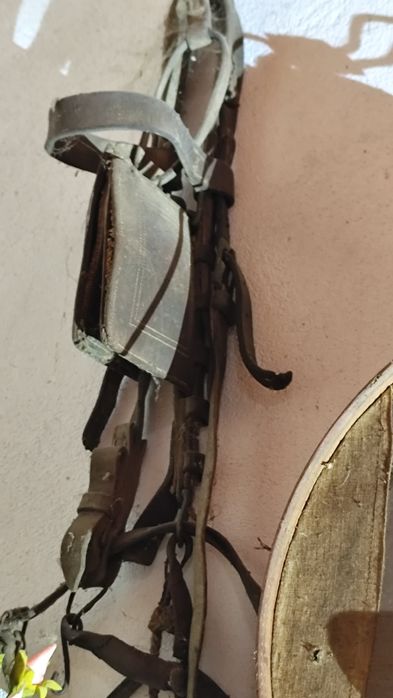 Cabresto e guia antigo