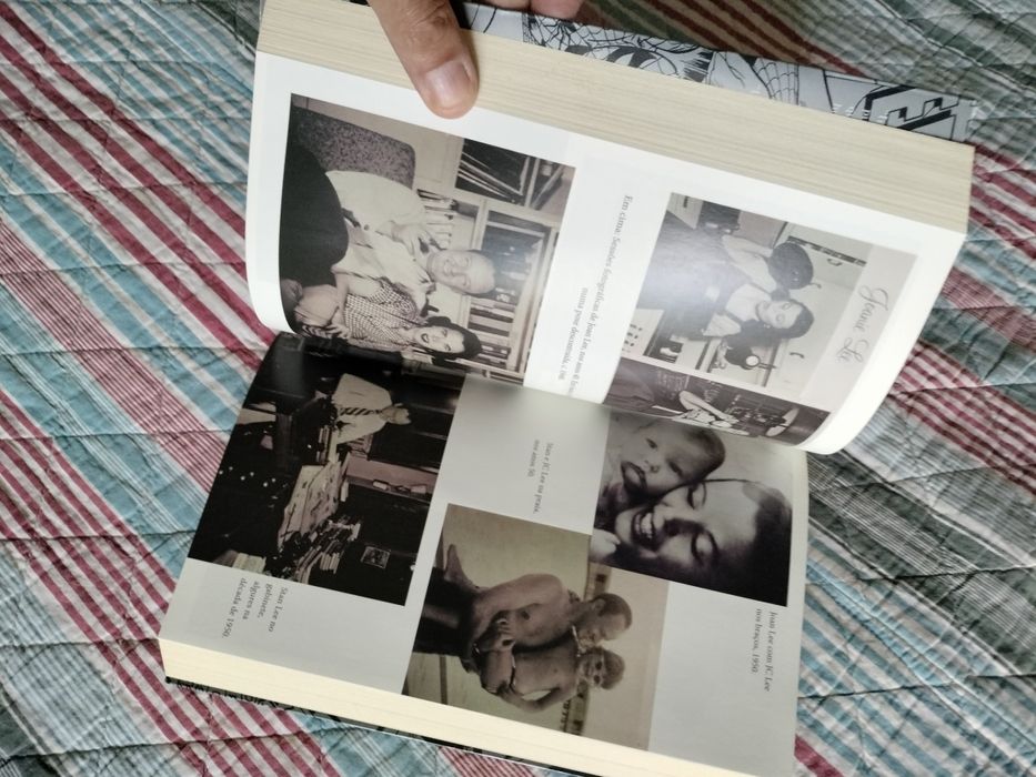 Vendo livro a ascenção e queda de stan lee