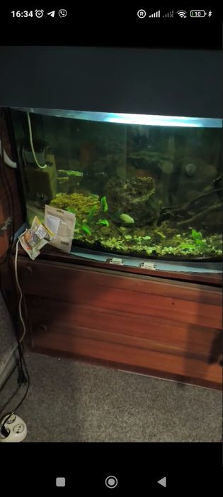 Аквариум с рыбками 120 л.