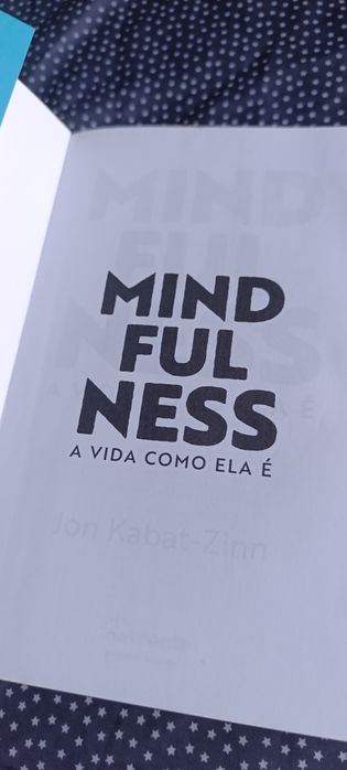 Mindfulness Jon kabat-Zinn