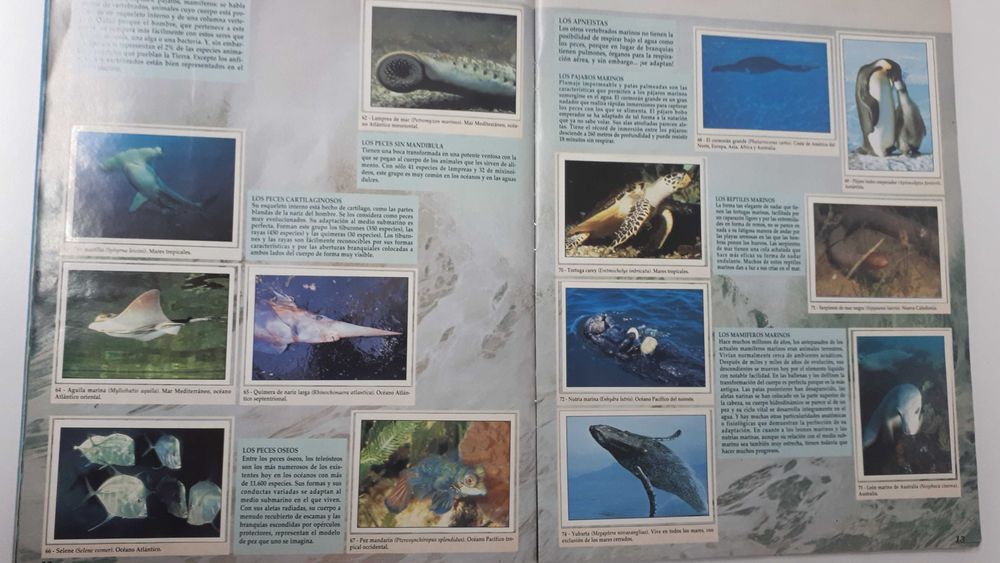 Caderneta de cromos completa O PLANETA AZUL