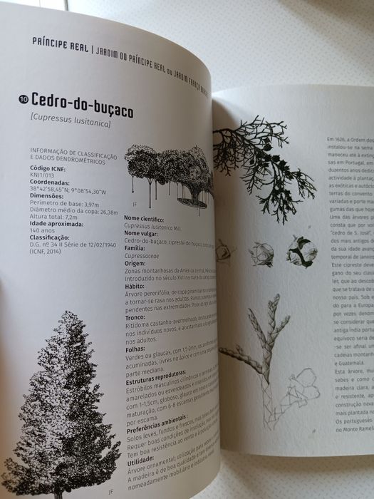 Árvores na Cidade, Graça Amaral Saraiva e Ana Ferreira de Almeida