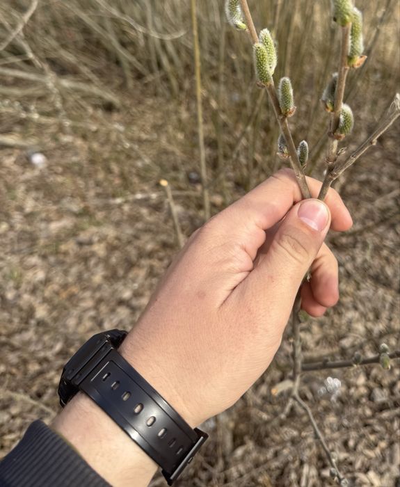 Ремінець на годинник для Casio G-Shock ga2100 | MCW-100H, AE-2000 і тд