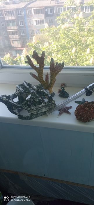 Аквариум большой