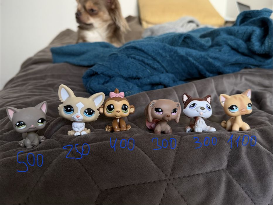 winx , lol, pop mart, lps bratz fuggler