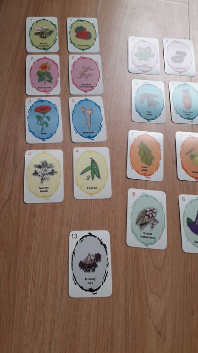 Piotruś Rośliny - gra karciana, Memo