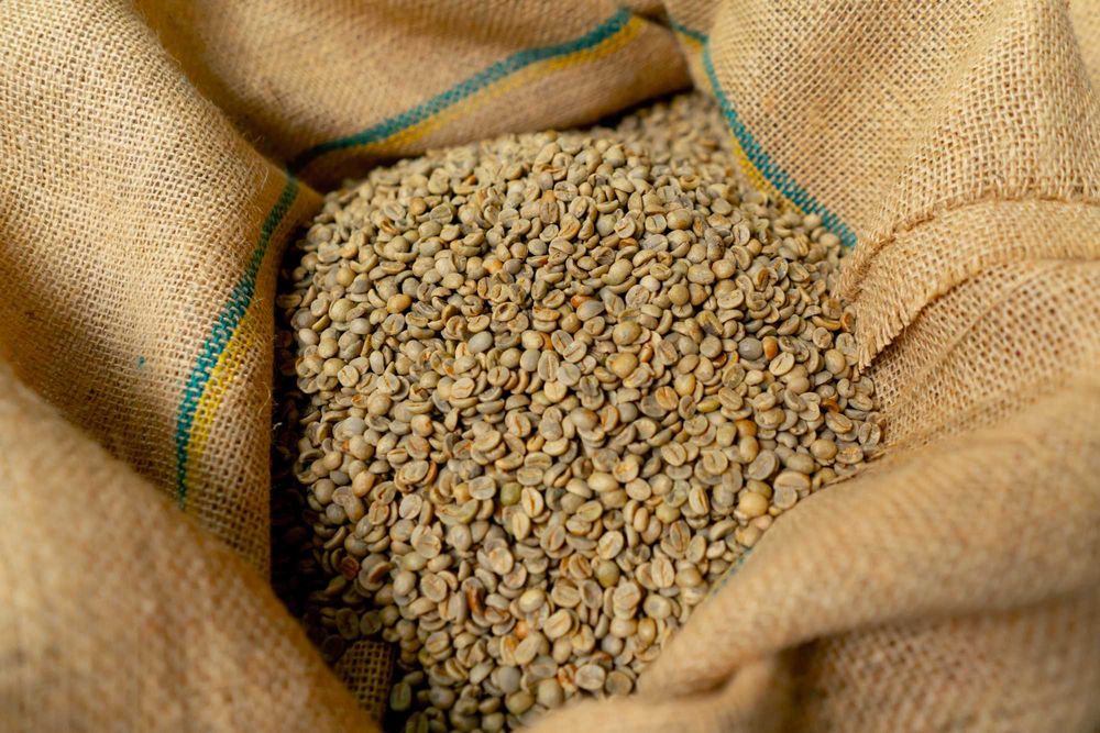 Zielona Kawa Robusta Hurtowo 500 kg | Surowiec do Palenia
