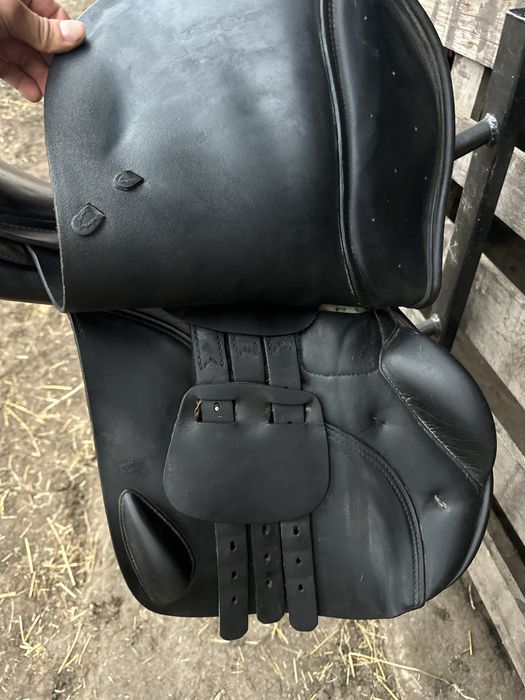 Prestige sydney 32/17