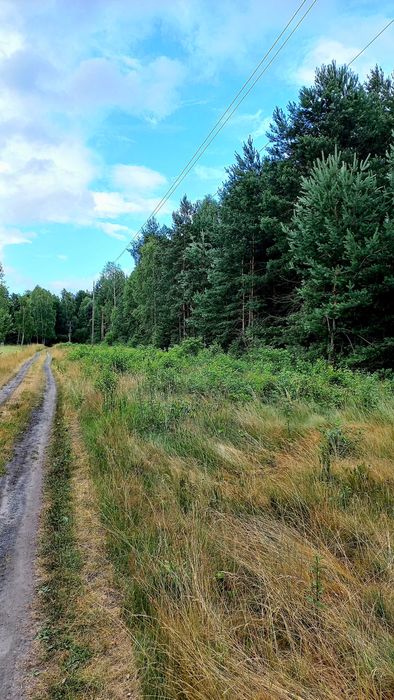 Działka budowlana Tumlin Osowa 2480m2 gmina Zagnańsk koło Kielce