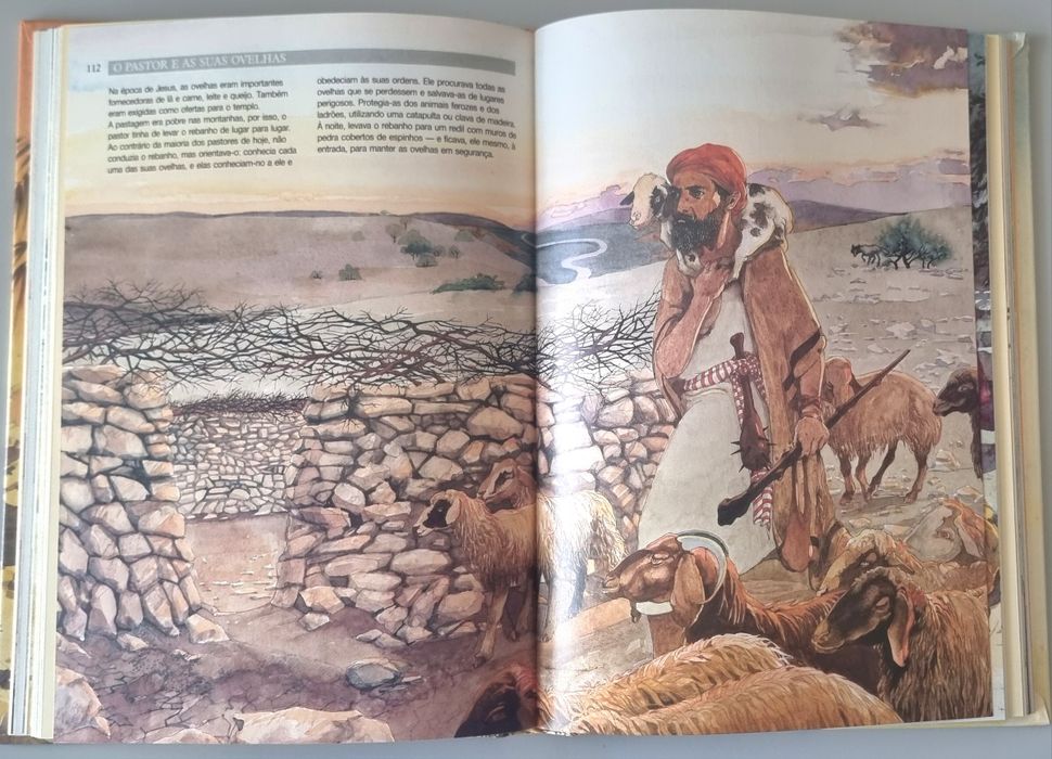 A História de Jesus - A Bíblia ilustrada