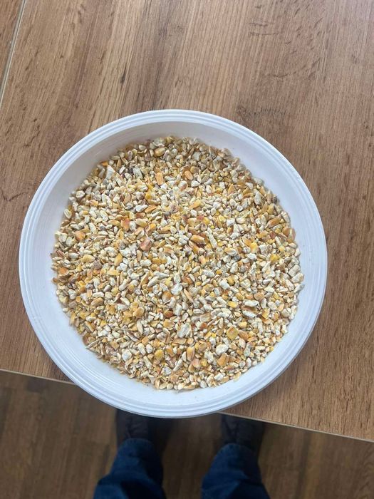 Продам подрібнену кукурудзу