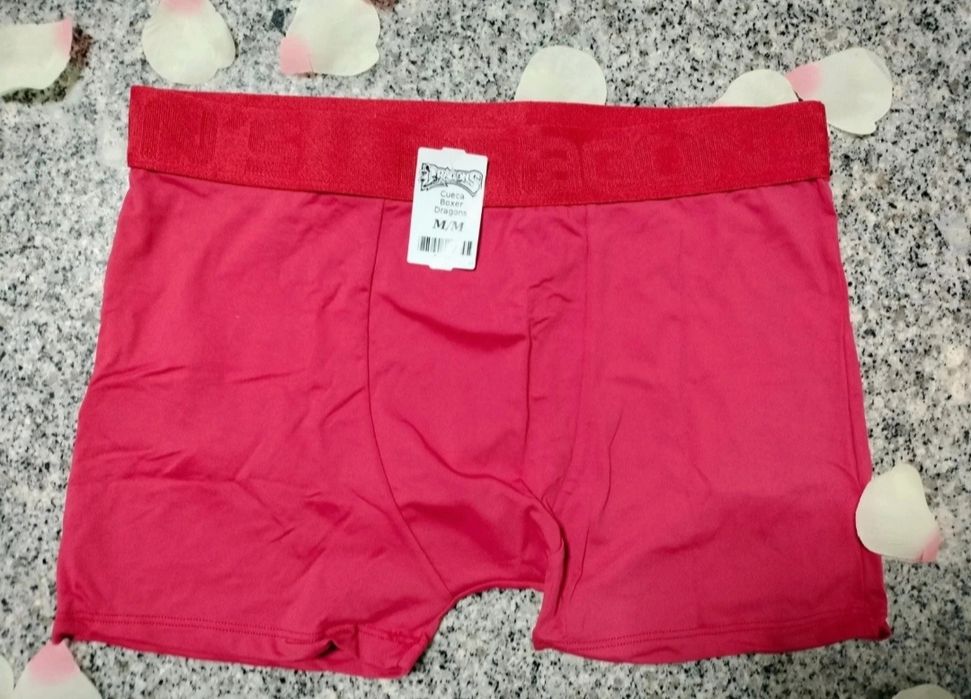 Boxer Dragons - Nova