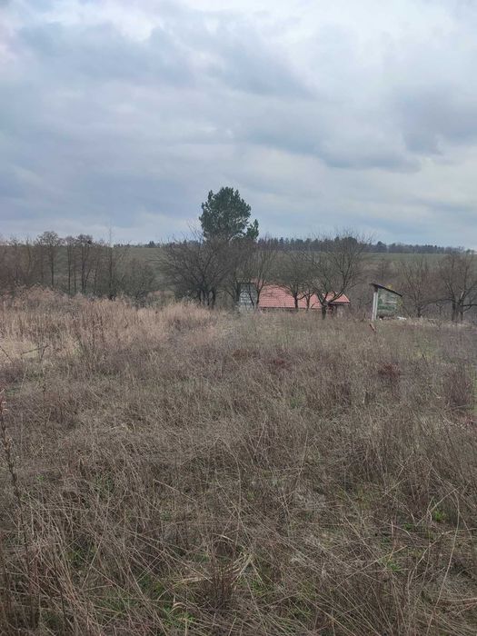 Музычи, Киевская обл. участок 0.1006 га под дачное строительство