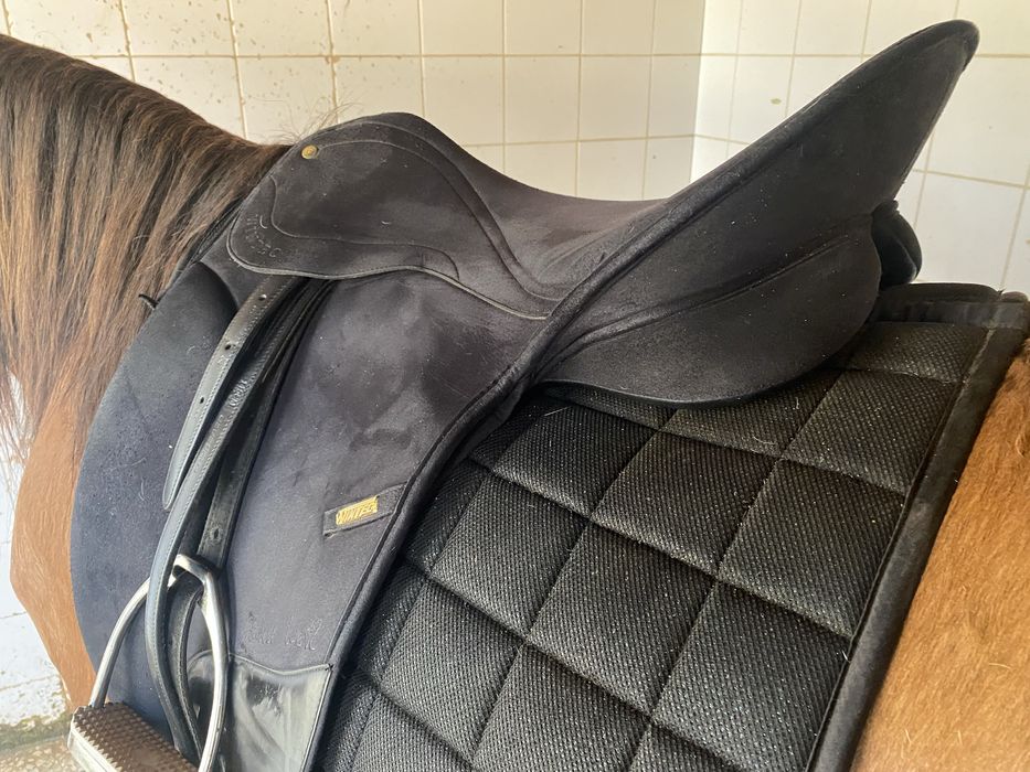 Sela Winrec Isabel Werth 17.5’´