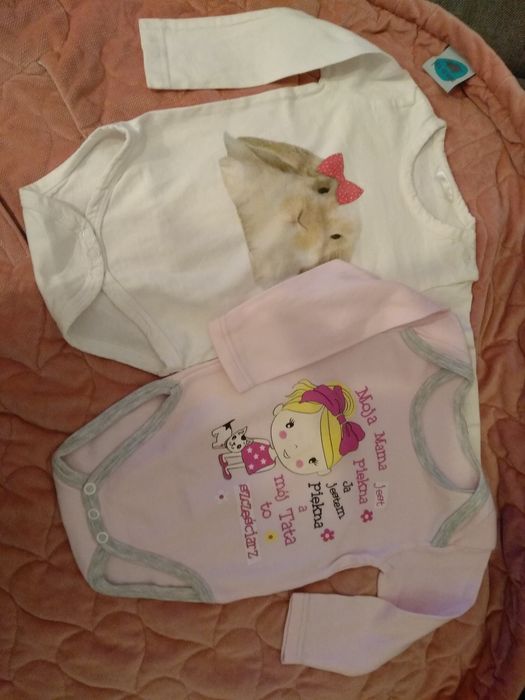 Zestaw body z długim rękawem w rozmiarze 80