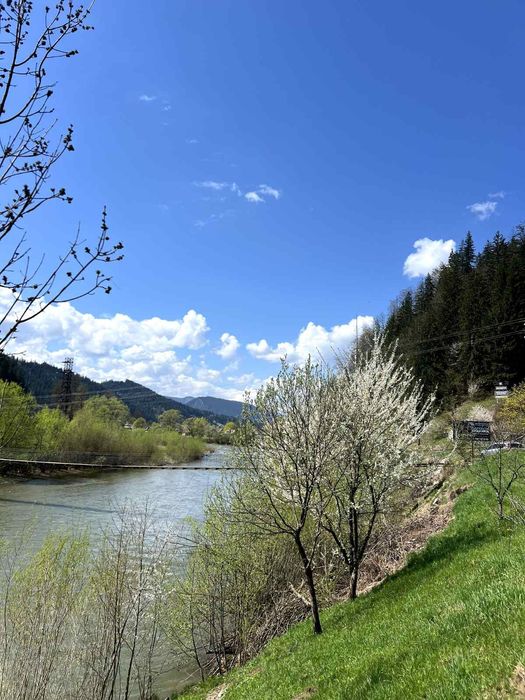 Відпочинок в карпатах