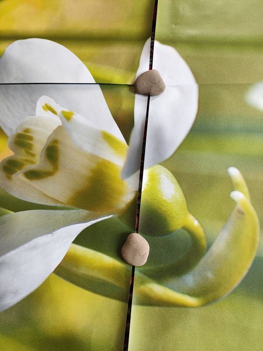 Продам фото шпалери роз. 2.72 х 1.96 метра