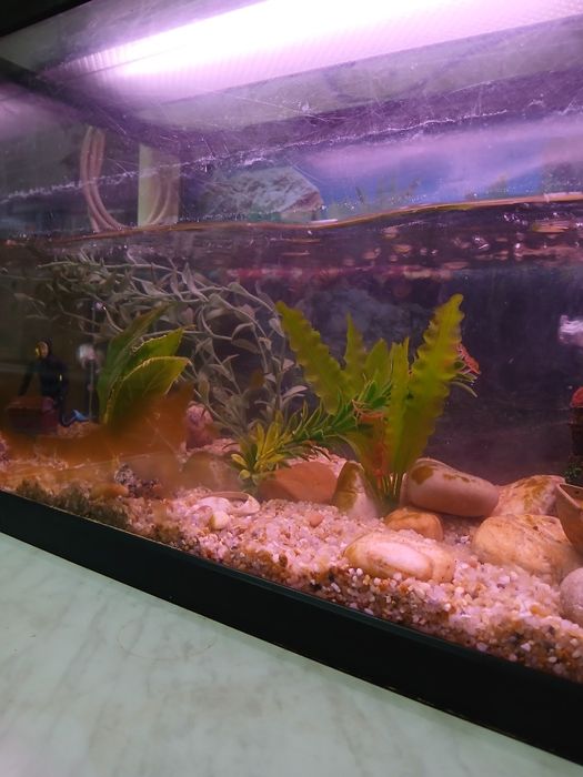 Aquário de 1 m usado em bom estado