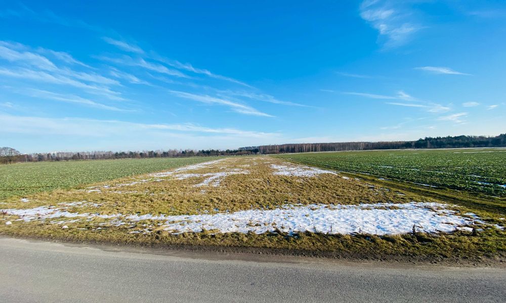 Budowlana działka z potencjałem! 0,32ha, Dąbrowa, gm. Sulmierzyce