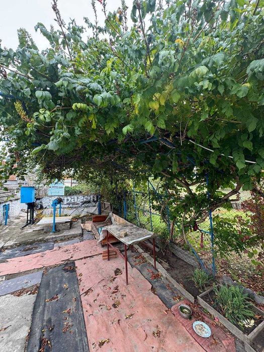 Продаю будинок в Миколаєві ц3