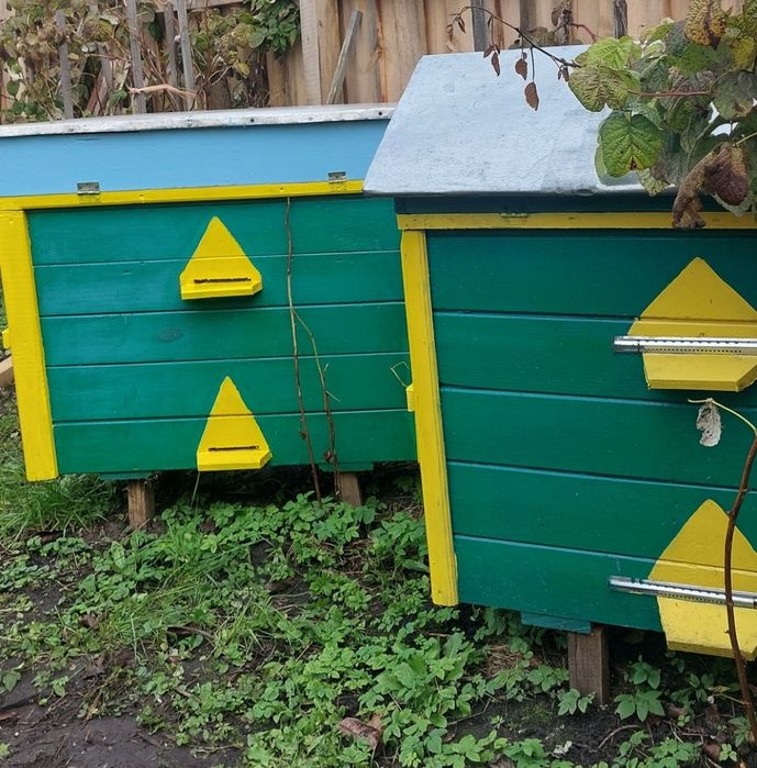 Продам вулики і ловушки для бджіл. Нуклеуси..