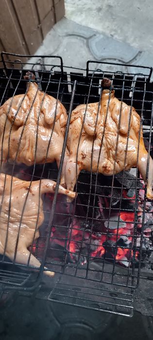 Своя Перепілка,добові,підрощі, сім'я,мясо