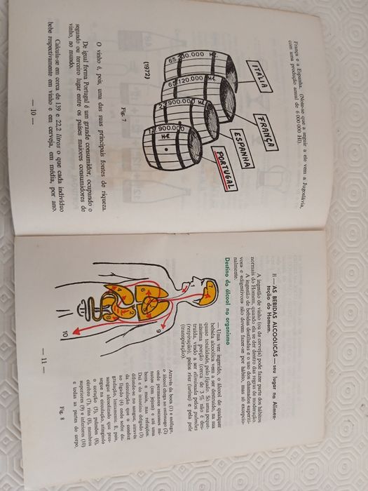 Álcool e Alcoolismo