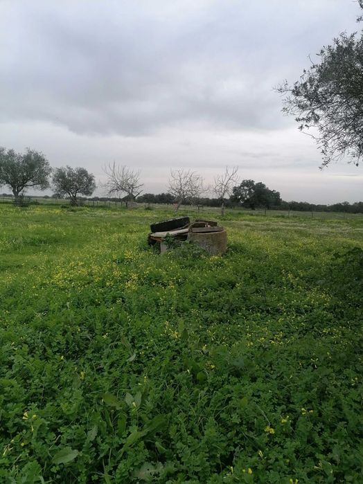 Quinta 12500m2 Alvalade