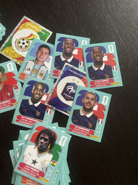 Panini world cup 2026