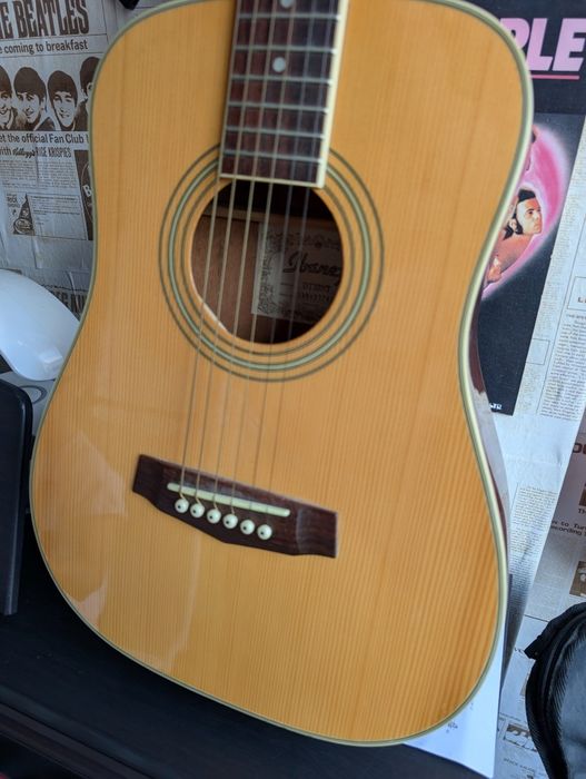 Piękna gitara akustyczna Ibanez Daytripper podróżna gitara