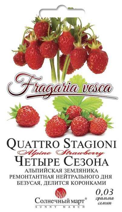 Насіння перцю, баклажанів, огірків, томатів, ягід... Від 9грн