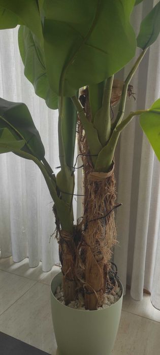 Planta artificial, de óptima qualidade, com aspeto de natural