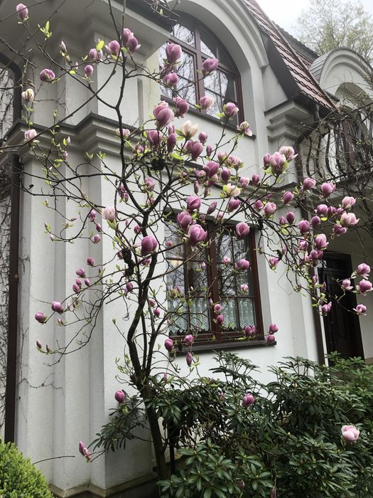 будинок в Варшаве Янкі Janki