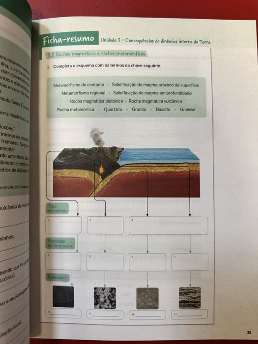 Caderno do aluno ADN 7