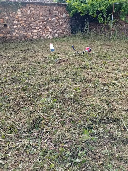 Limpezas de terrenos e podas de árvores
