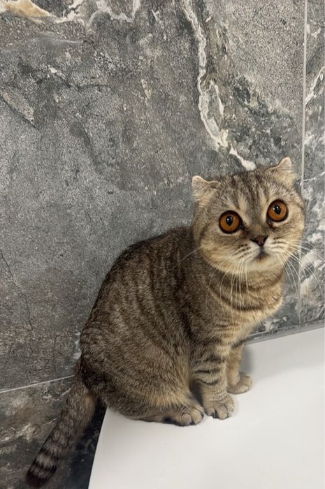 Шикарний антистрес
