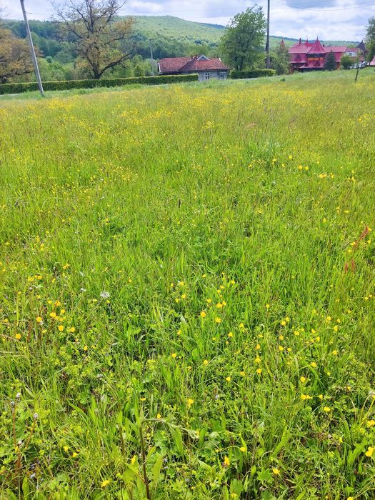 Продам земельну ділянку