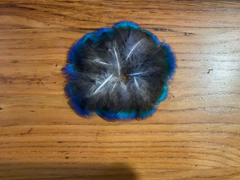 Penas pequenas de pavão para artesanato
