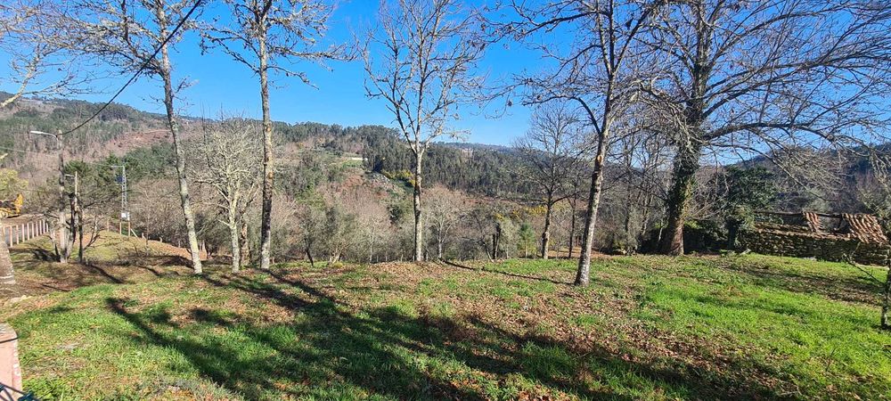 Terreno com Ruínas e Grande Potencial — Próximo Termas de S. Pedro Sul