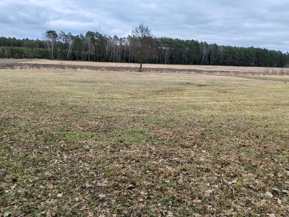 Sprzedam grunty rolne