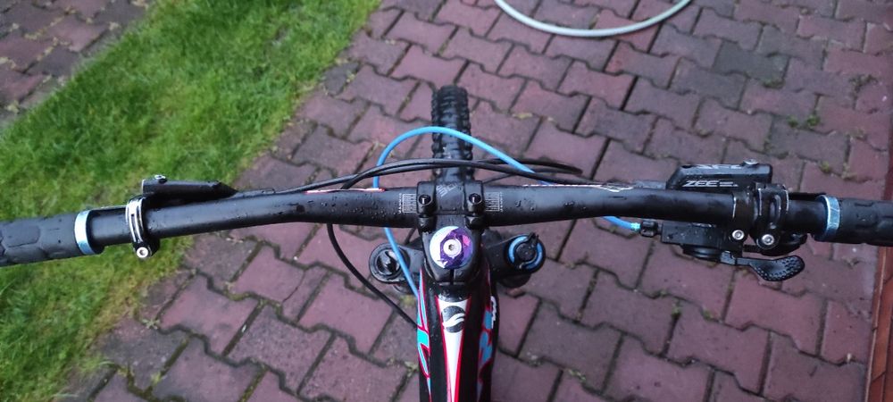 Giant glory freeride