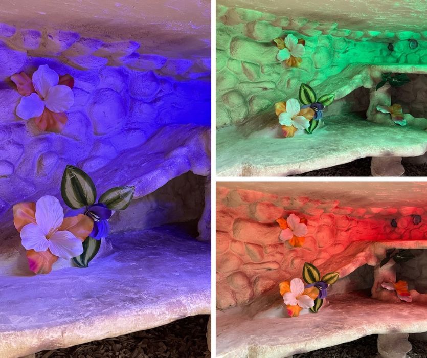 Terrarium 2w1 ręcznie wykonane