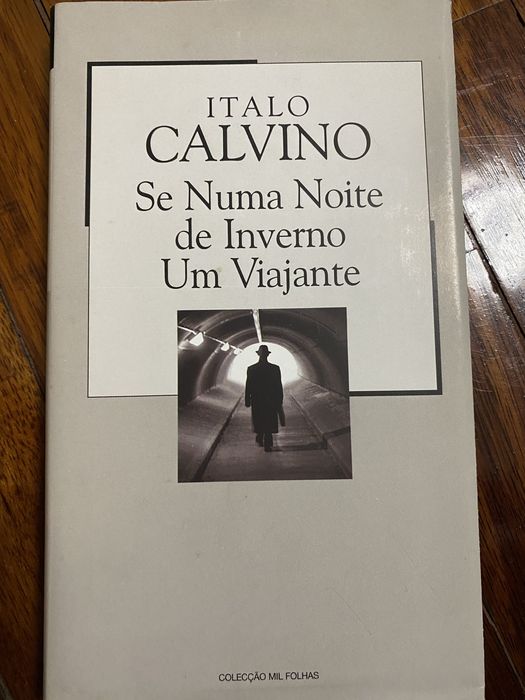 Se numa noite de inverno um viajante de Italo Calvino